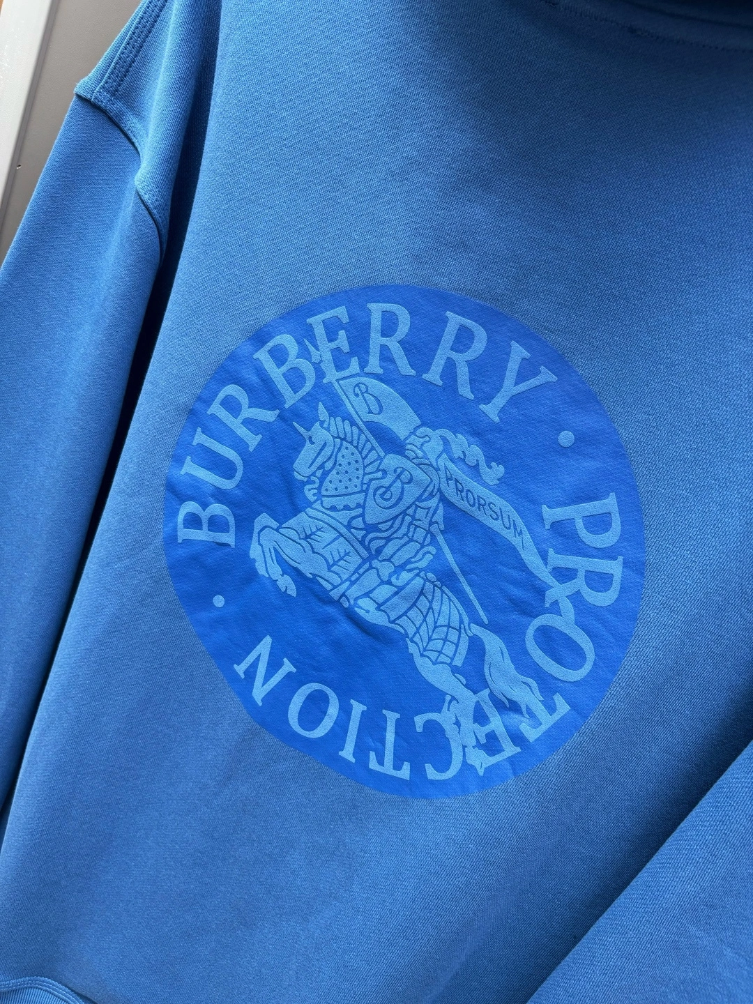 wg.luxury-- 2ur25rry Cotton fleece oversized 3colour item:E-F509L0520-3H